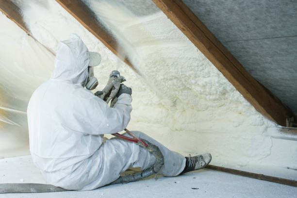 Best Spray Foam Insulation  in Federal Heights, CO