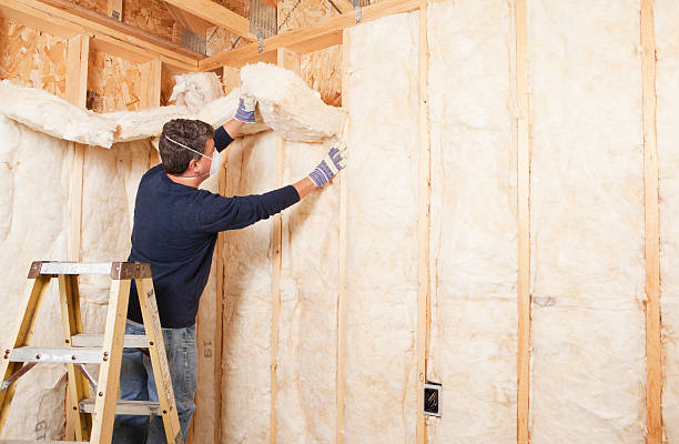 Best Crawl Space Insulation  in Federal Heights, CO