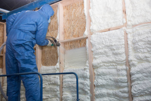 Best Reflective Insulation  in Federal Heights, CO